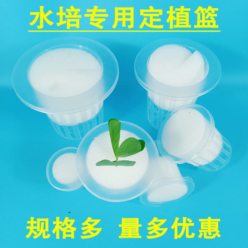 速发水培定植篮固根器无土栽培设备蔬菜定植杯水耕植物种植蓝加种