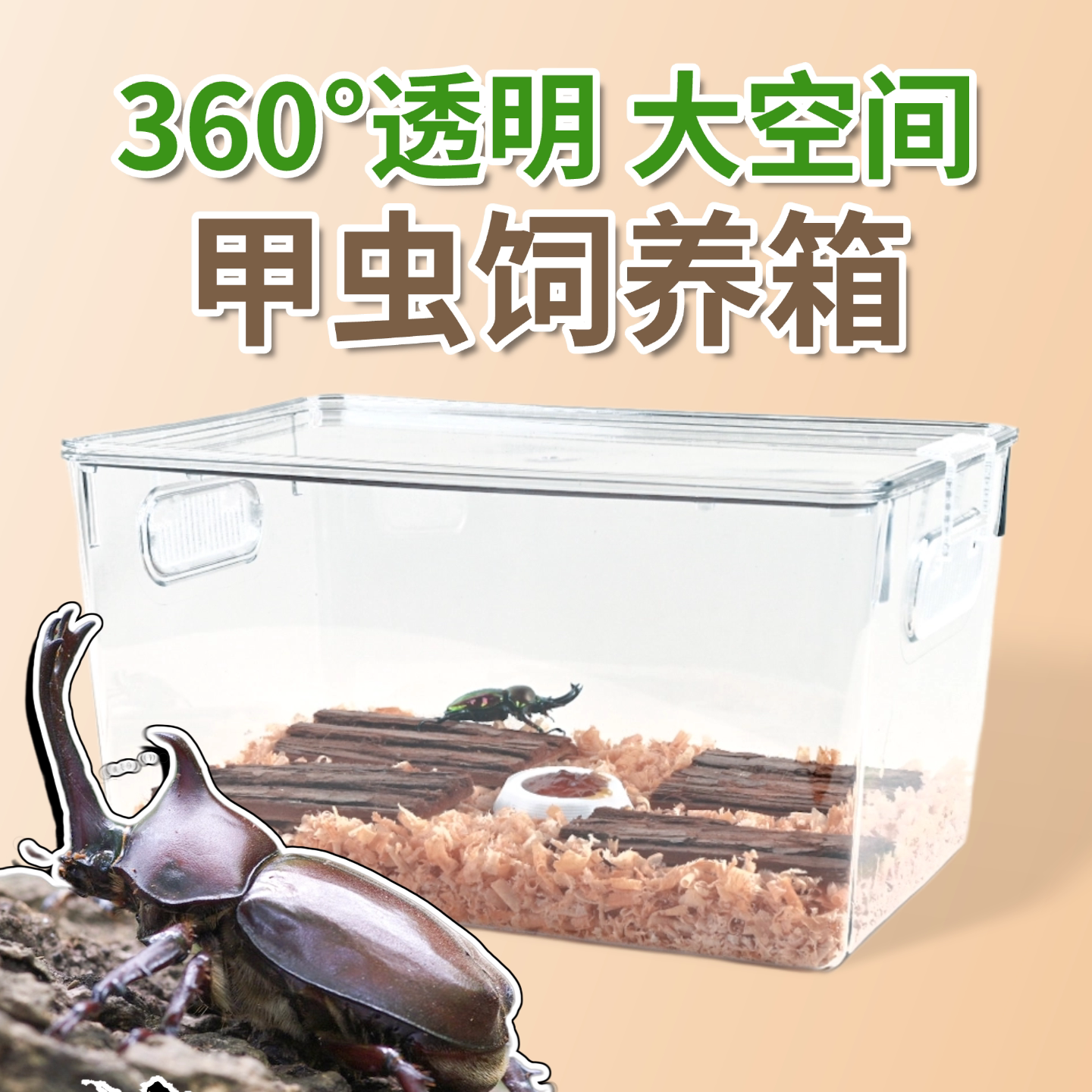 速发独角仙饲养盒甲虫饲养箱甲虫饲养盒独角仙饲养箱套装锹甲饲养