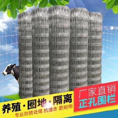 速发铁丝网围栏养鸡围栏网铁丝网细网铁丝网片小格农村用的防护网