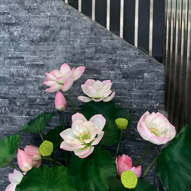 速发幼儿园室内环创中式荷花主题古风场景布置荷你有约装饰仿真花