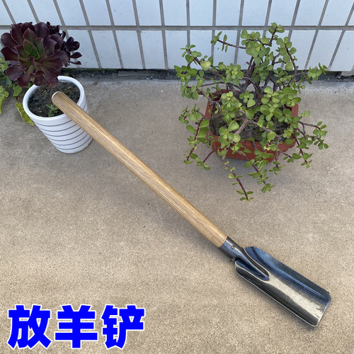 速发放羊铲全钢小号铲子挖洞挖坑取苗移土铲子清理下水道沟工具种