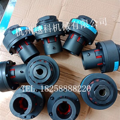 TLC扭力d扭矩限制器带联轴器轴与轴 过载保护器厂家直销安全联轴