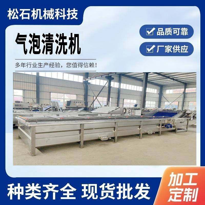 自动化果蔬气泡清洗机红枣芒果清洗设备·果蔬清洗风干线,清洗/食品/商业设备,其他食品加工设备,淘宝优惠券,粉丝福利购,淘宝优惠卷