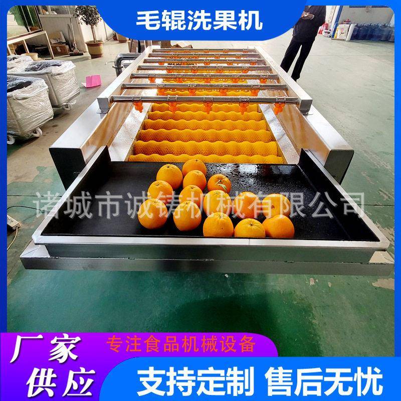 苹果平行毛辊清洗机304不锈钢支持定制商用人参果毛辊清洗机设备
