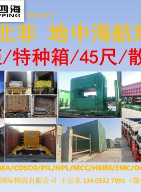 青岛天津到黎巴嫩 贝鲁特BEIRUT海运整柜拼箱散货船拖车