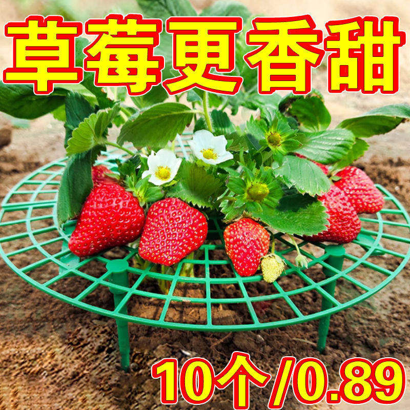 草莓支架托盘园艺用品家庭阳台种植太阳花盆栽苗防腐烂果实支撑架