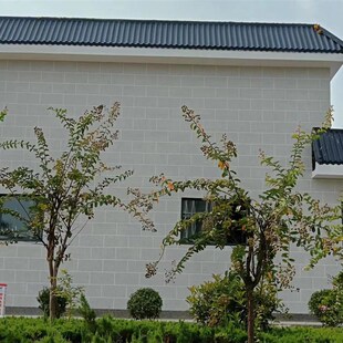 asa合成树脂瓦中m式门头装饰屋面凉亭红灰色瓦片一体仿古瓦屋檐瓦