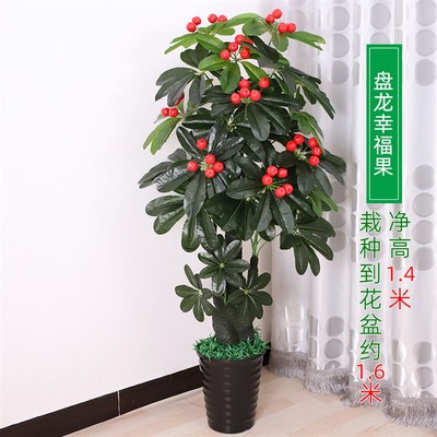 仿真假树发财树室内装饰客厅摆设大落地盆栽盆景植物塑Z料假花绿