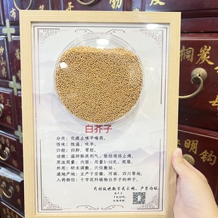 中药标本教学展馆k标本相框中药材装 饰 饰画文化墙标本挂画中药装