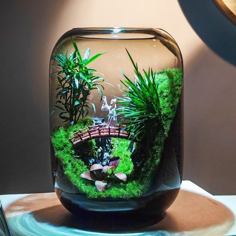 【年年有鱼】创意苔o藓微景观办公室生态缸鱼缸桌面生态瓶摆件成,鲜花速递/花卉仿真/绿植园艺,苔藓微景观,淘宝优惠券,粉丝福利购,淘宝优惠卷