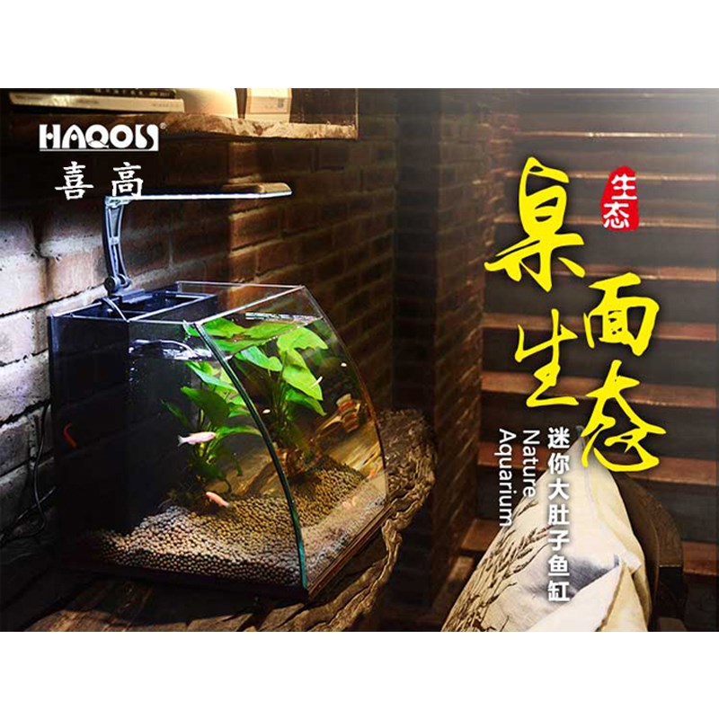 鱼缸小型鱼缸客厅家用装饰水族箱造景迷你定做超白玻璃透明乌龟缸