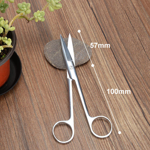 逸家花园多肉砍头扦插修根造型剪子园艺花卉绿植修枝不锈钢剪刀