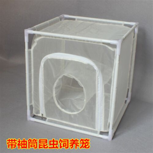 昆虫笼实验养虫笼纱网昆虫饲养笼养殖笼箱拆卸网罩苍蝇蚊生物定制