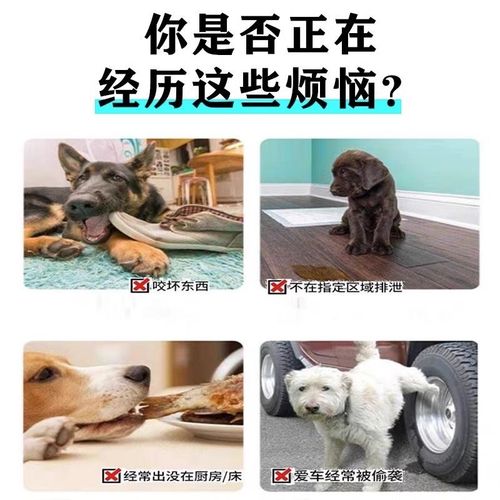 驱狗喷剂驱赶粉野狗尿喷雾神器专用药强力长效室外防止狗狗乱尿拉