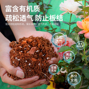 仙兔营养土养花通用专用多肉土月季 绿萝有机花土家用花卉育苗土壤