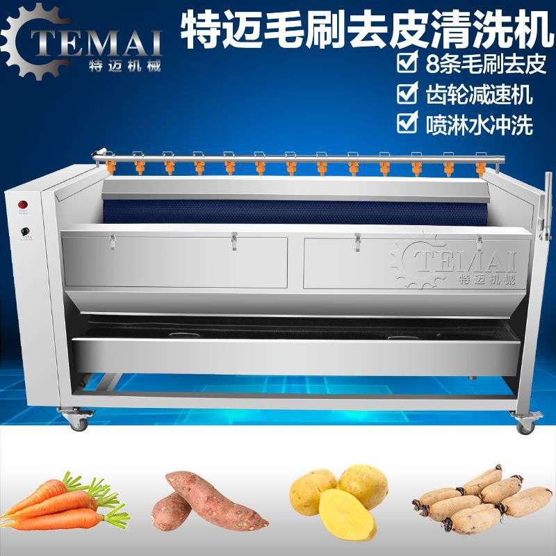 工厂销售芥头清洗机 多功能绿萝卜毛刷清洗机 小型菜头磨皮机