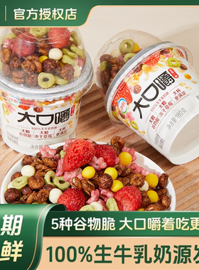 伊利大口嚼搅拌酸奶冻干草莓燕麦谷物脆早餐下午茶