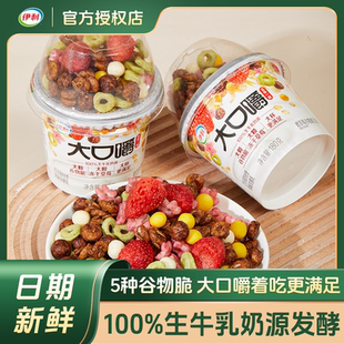 伊利大口嚼搅拌酸奶冻干草莓燕麦谷物脆早餐下午茶
