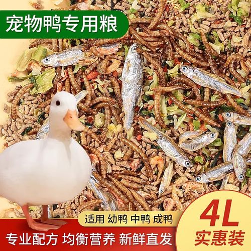小鸭子小鸡小鹅专用饲料柯尔鸭的营养均衡开口粮宠物零食生活用品