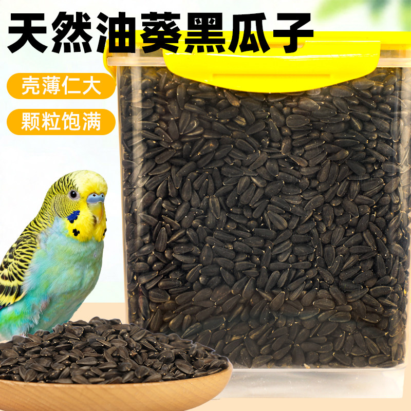 油葵小黑瓜子黑珍珠葵花籽鹦鹉鸟食仓鼠零食鸟粮鸽粮包邮