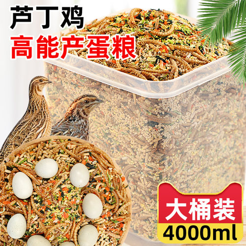 芦丁鸡饲料鹌鹑下蛋产蛋期专用粮食饲料芦丁鸡小鸡通用鸟食料1