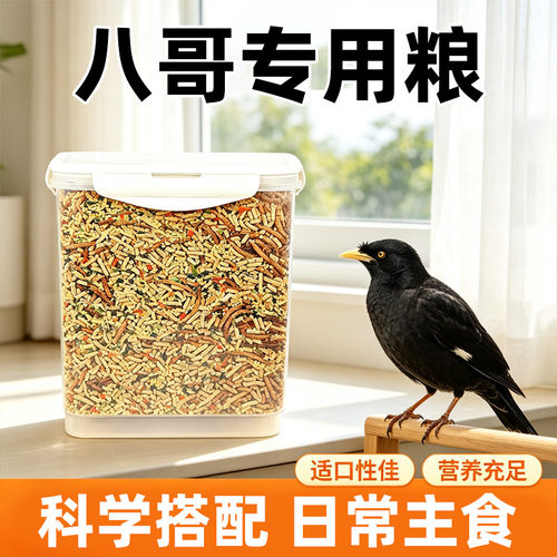 冠之亚八哥专用营养鸟粮5斤虫