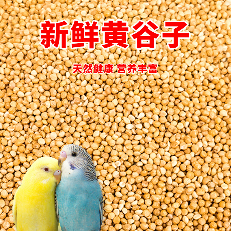 鹦鹉鸟粮饲料新黄谷子带壳小米虎皮鹦鹉饲料玄凤牡丹专用食物粮食