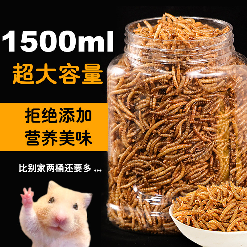 仓鼠粮食金丝熊专用食物营养主粮五谷饲料零食用品蛋白面包虫干,宠物/宠物食品及用品,鼠类零食,淘宝优惠券,粉丝福利购,淘宝优惠卷