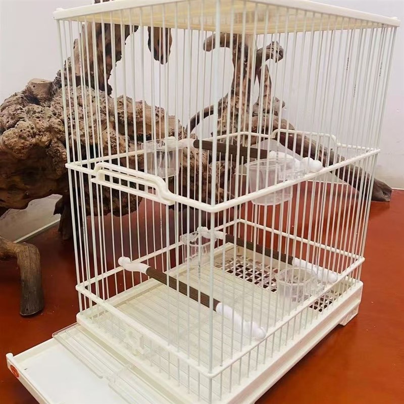 新款加高小鸟笼距1.0柳莺小鸟笼玉鸟笼塑钢鸟笼绣眼鸟甄选