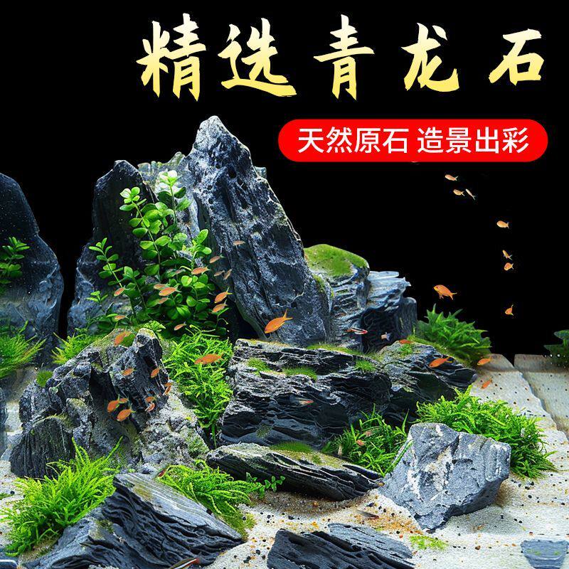 天然青龙石生态造景石图片