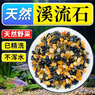 鱼缸造景原生溪流石底砂鹅卵石雨花石乌龟缸装 饰造景天然原生态