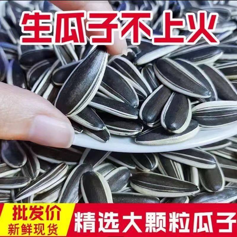 生瓜子葵花籽新货鲜363特大颗粒散装毛嗑葵花籽现炒原味葵花瓜子