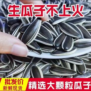 生瓜子葵花籽新货鲜363特大颗粒散装毛嗑葵花籽现炒原味葵花瓜子