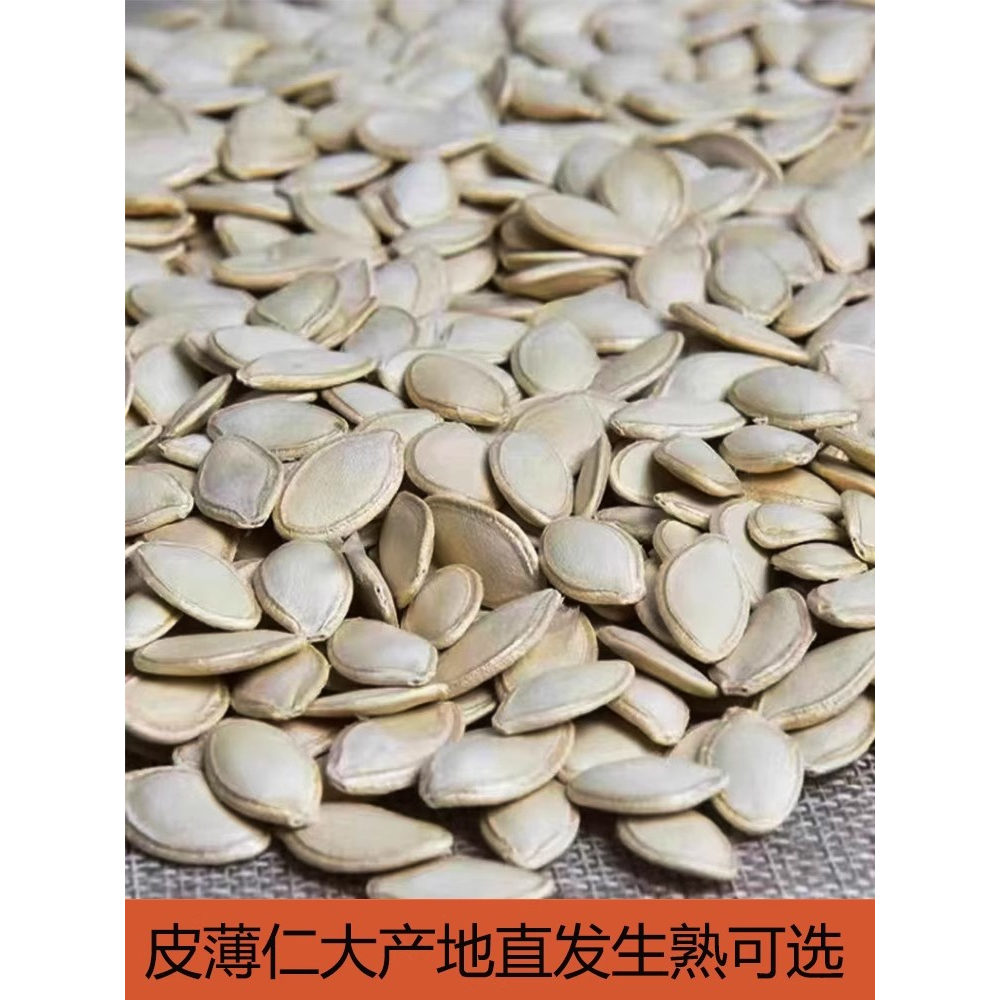 南瓜子新货带壳2026年生南瓜籽爪子内蒙古现炒熟原味盐焗大中白片