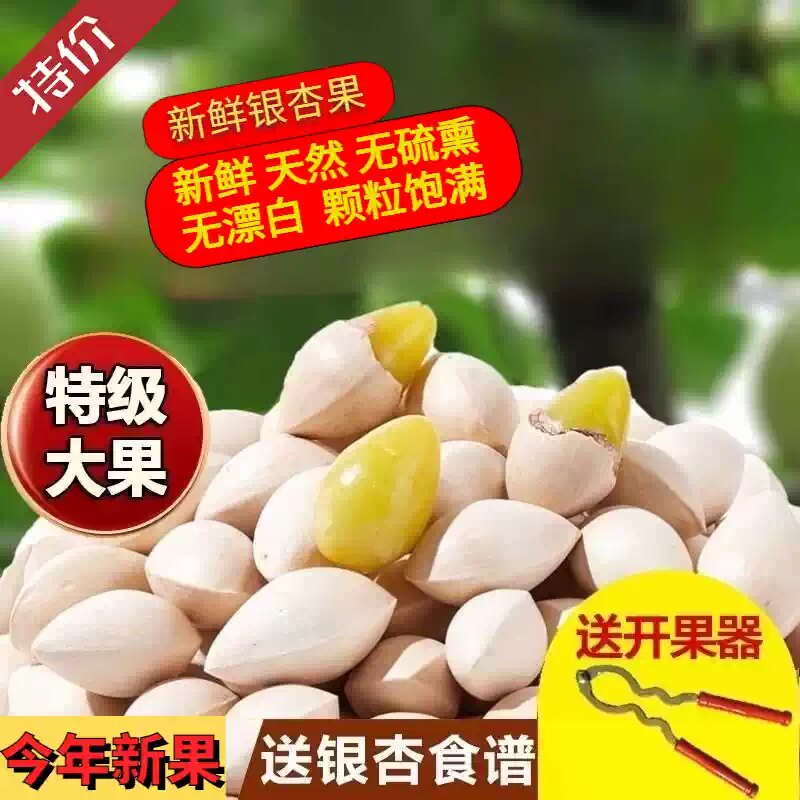 2026年新鲜大颗带壳白果银杏果无漂白泰兴特级包邮干货生百果