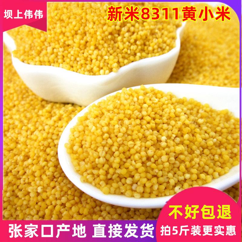新米黄小米坝上伟伟农家五谷杂粮食蔚县小黄米蔚州1小米粥5斤