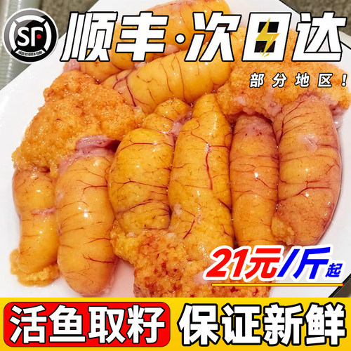 新鲜鱼籽鲜活现杀现发黑鱼籽鱼卵
