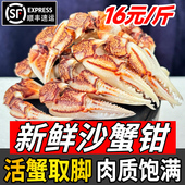 沙蟹钳新鲜冷冻螃蟹腿梭子蟹钳蟹爪蟹腿醉蟹钳捞汁原料商用海鲜