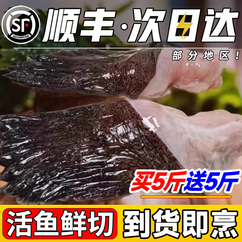 新鲜安康鱼翅膀冷冻鱼翅鱼鳍安康鱼鲜活深海鱼翅海鲜水产整箱顺丰