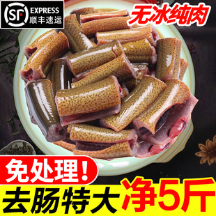 土黄鳝鱼段新鲜去头去脏鲜活现杀原生态鳝鱼片段炖骨煲汤鳝段商用