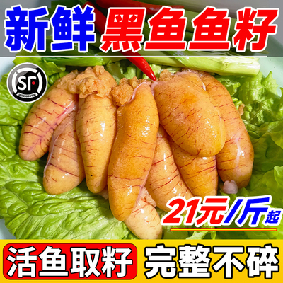 新鲜鱼籽鲜活现杀现发黑鱼籽