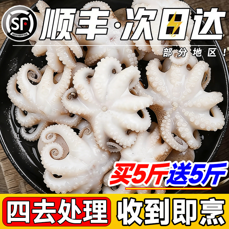 新鲜八爪鱼鲜活冷冻迷你小章鱼短腿八抓鱼大爆头去内脏捞汁小海鲜