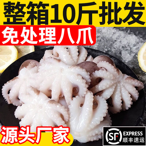 小编推荐迷你八爪鱼去内脏免处理