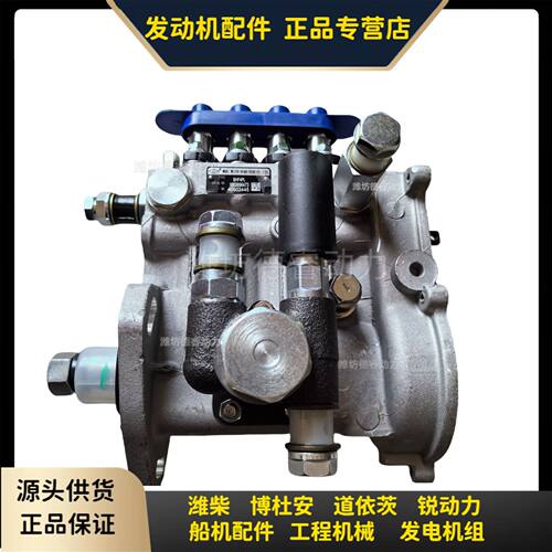 电调喷油泵总成1003896473潍柴WP2.3 4M06柴油发动机原厂正品