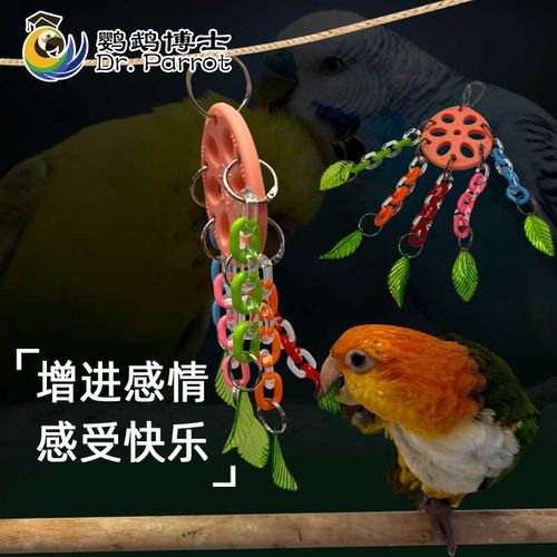 鹦鹉玩具啃咬亚克力中小型鸟啃咬娱乐解闷开发智力破坏娱乐防咬毛