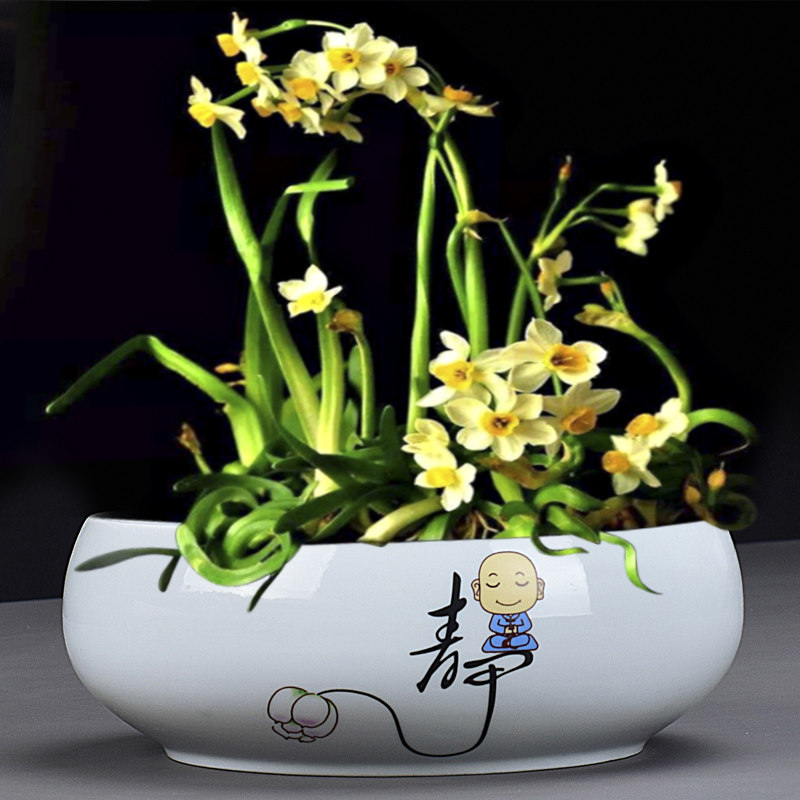 水仙花盆陶瓷铜钱草水培塔竹一叶莲碗莲金钱草专用盆缸无孔大小号