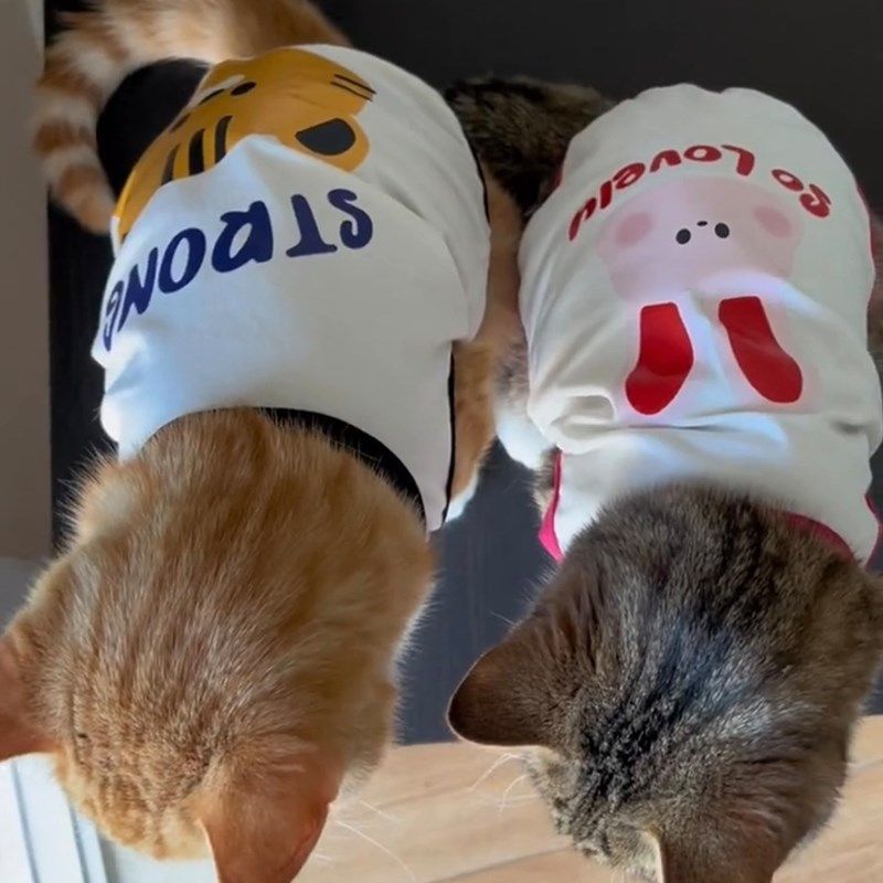 猫咪防掉毛衣服夏天透气英短布偶猫银渐层蓝猫宠物夏季薄款小背心