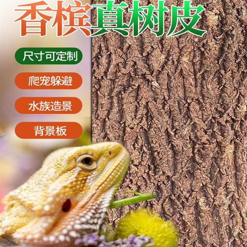 香槟树皮鱼缸背景板天然真树皮造景装饰绿植墙爬宠躲避箱软木树皮,宠物/宠物食品及用品,造景/装饰,淘宝优惠券,粉丝福利购,淘宝优惠卷