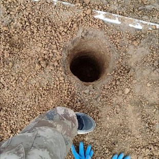 电动钻土挖坑神器充电电锤冲击钻硬地松泥土钻头栽树种植打洞机器