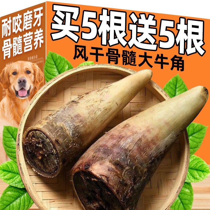 风干牛角磨牙棒狗狗零食含牛骨髓营养补钙洁齿耐啃小中大型犬宠物,宠物/宠物食品及用品,狗磨牙棒/洁齿骨/咬胶,淘宝优惠券,粉丝福利购,淘宝优惠卷